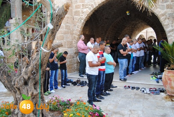 mahmoduia 3eed 808 (46).JPG